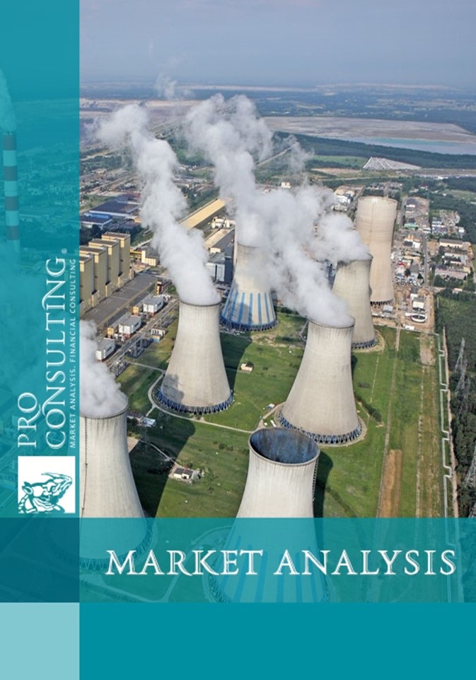 Market research report on heat energy in Ukraine 2015